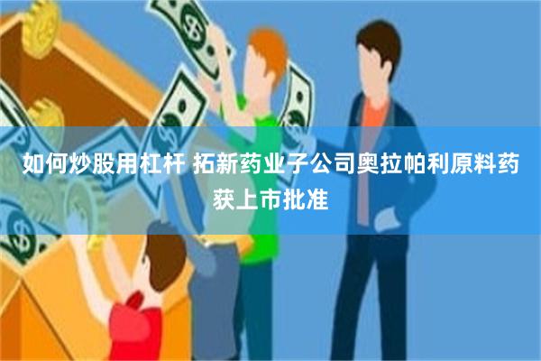 如何炒股用杠杆 拓新药业子公司奥拉帕利原料药获上市批准