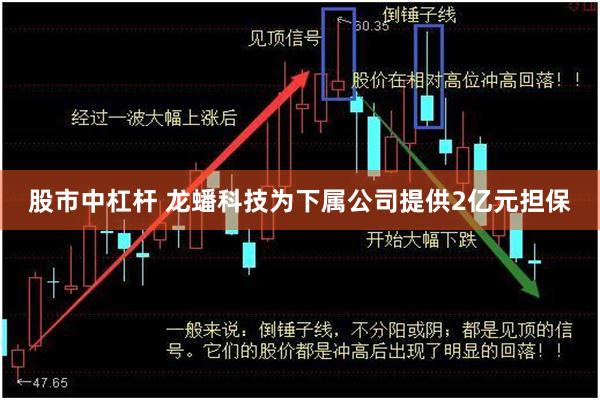 股市中杠杆 龙蟠科技为下属公司提供2亿元担保