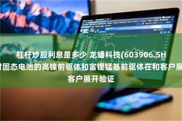 杠杆炒股利息是多少 龙蟠科技(603906.SH)：针对固态电池的高镍前驱体和富锂锰基前驱体在和客户展开验证