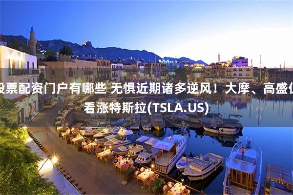 股票配资门户有哪些 无惧近期诸多逆风！大摩、高盛仍看涨特斯拉(TSLA.US)