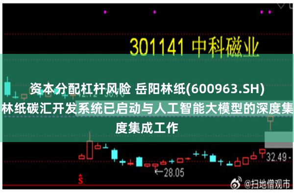 资本分配杠杆风险 岳阳林纸(600963.SH)：岳阳林纸碳汇开发系统已启动与人工智能大模型的深度集成工作