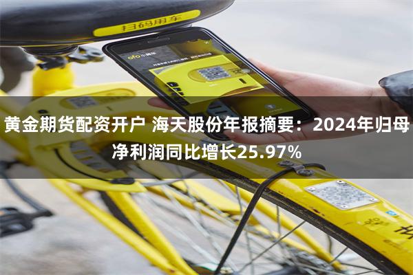黄金期货配资开户 海天股份年报摘要：2024年归母净利润同比增长25.97%