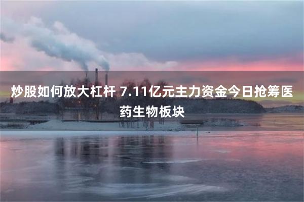 炒股如何放大杠杆 7.11亿元主力资金今日抢筹医药生物板块