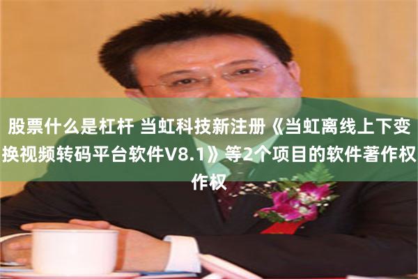 股票什么是杠杆 当虹科技新注册《当虹离线上下变换视频转码平台软件V8.1》等2个项目的软件著作权