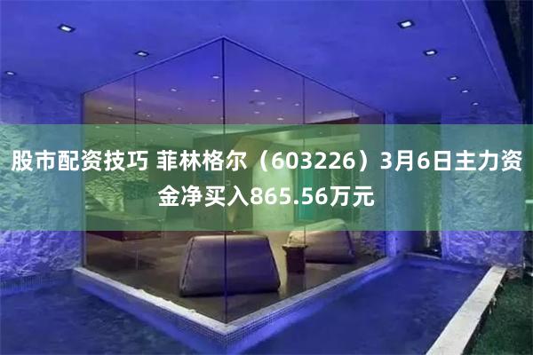 股市配资技巧 菲林格尔（603226）3月6日主力资金净买入865.56万元