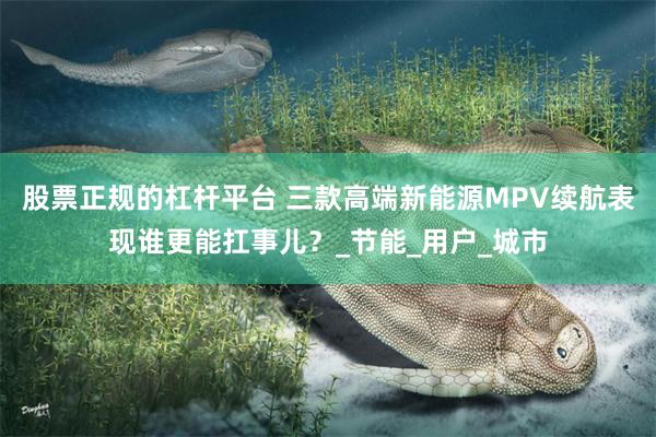 股票正规的杠杆平台 三款高端新能源MPV续航表现谁更能扛事儿？_节能_用户_城市