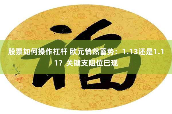 股票如何操作杠杆 欧元悄然蓄势：1.13还是1.11？关键支阻位已现