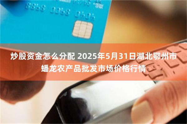 炒股资金怎么分配 2025年5月31日湖北鄂州市蟠龙农产品批发市场价格行情