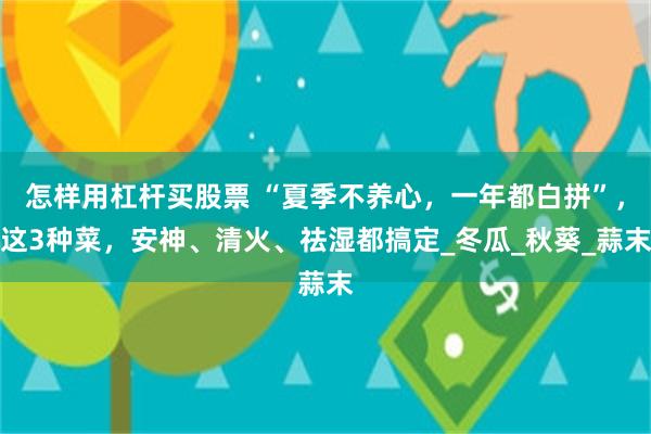 怎样用杠杆买股票 “夏季不养心，一年都白拼”，这3种菜，安神、清火、祛湿都搞定_冬瓜_秋葵_蒜末