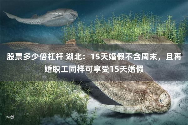 股票多少倍杠杆 湖北：15天婚假不含周末，且再婚职工同样可享受15天婚假