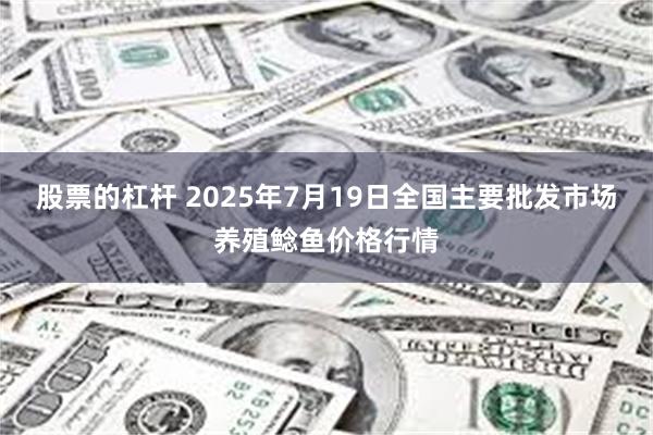 股票的杠杆 2025年7月19日全国主要批发市场养殖鲶鱼价格行情