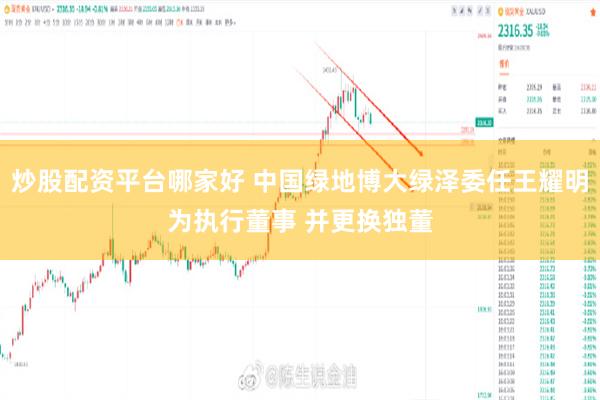 炒股配资平台哪家好 中国绿地博大绿泽委任王耀明为执行董事 并更换独董