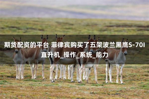 期货配资的平台 菲律宾购买了五架波兰黑鹰S-70I直升机_操作_系统_能力