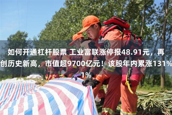 如何开通杠杆股票 工业富联涨停报48.91元，再创历史新高，市值超9700亿元！该股年内累涨131%