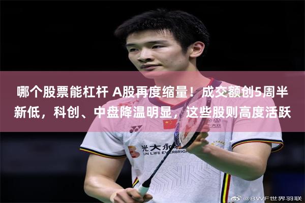 哪个股票能杠杆 A股再度缩量！成交额创5周半新低，科创、中盘降温明显，这些股则高度活跃