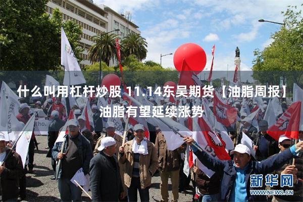 什么叫用杠杆炒股 11.14东吴期货【油脂周报】油脂有望延续涨势