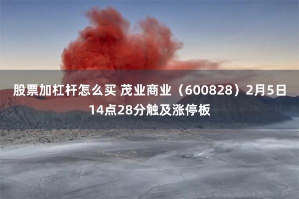 股票加杠杆怎么买 茂业商业（600828）2月5日14点28分触及涨停板
