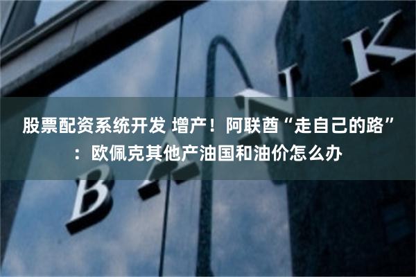 股票配资系统开发 增产!阿联酋“走自己的路”:欧佩克其他产油国和油价怎么办