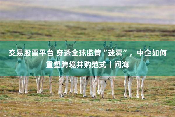 交易股票平台 穿透全球监管“迷雾”,中企如何重塑跨境并购范式|问海