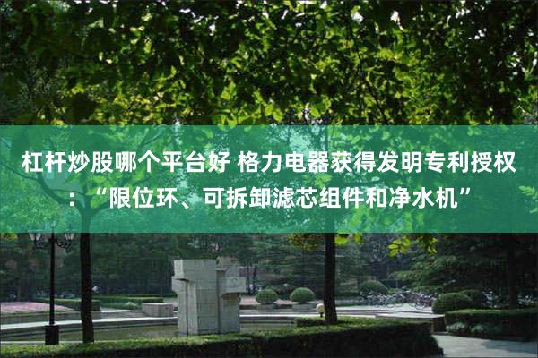 杠杆炒股哪个平台好 格力电器获得发明专利授权：“限位环、可拆卸滤芯组件和净水机”
