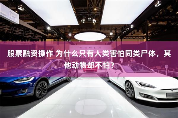 股票融资操作 为什么只有人类害怕同类尸体,其他动物却不怕?