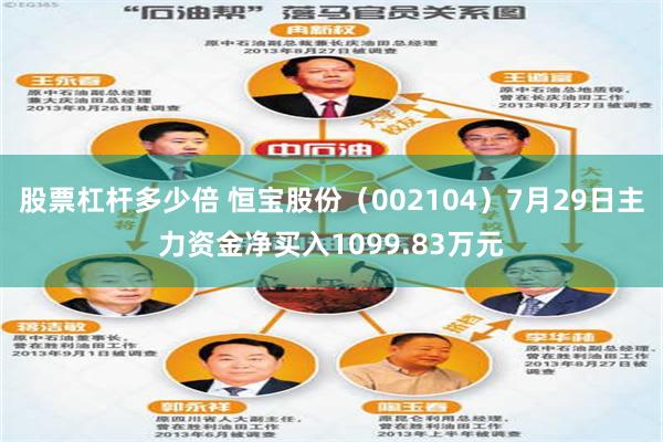股票杠杆多少倍 恒宝股份(002104)7月29日主力资金净买入1099.83万元