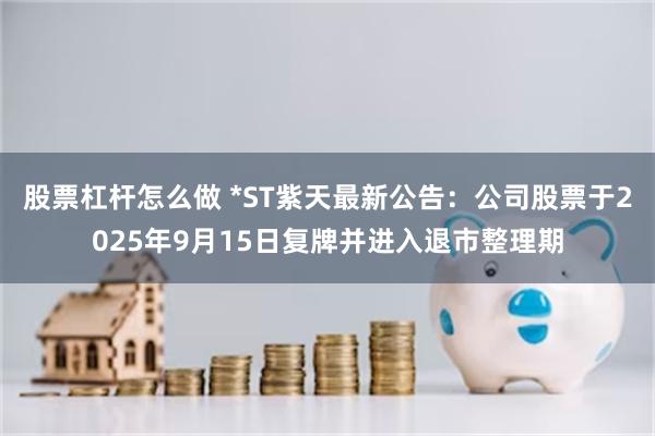 股票杠杆怎么做 *ST紫天最新公告：公司股票于2025年9月15日复牌并进入退市整理期