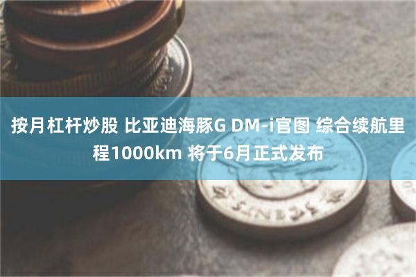 按月杠杆炒股 比亚迪海豚G DM-i官图 综合续航里程1000km 将于6月正式发布
