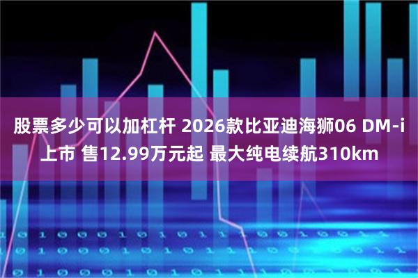 股票多少可以加杠杆 2026款比亚迪海狮06 DM-i上市 售12.99万元起 最大纯电续航310km