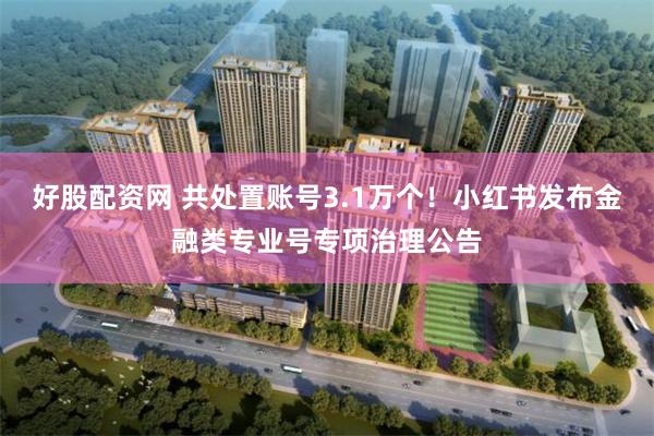 好股配资网 共处置账号3.1万个！小红书发布金融类专业号专项治理公告