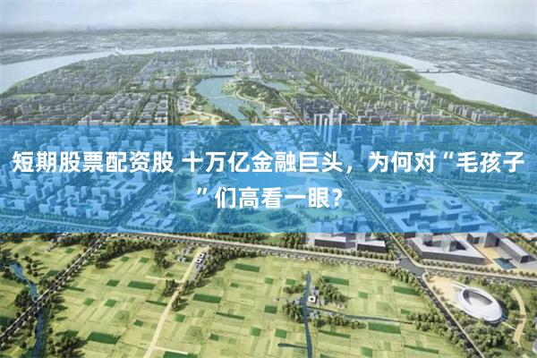 短期股票配资股 十万亿金融巨头，为何对“毛孩子”们高看一眼？
