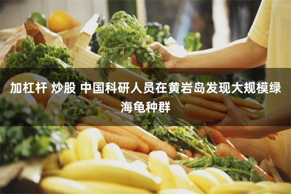 加杠杆 炒股 中国科研人员在黄岩岛发现大规模绿海龟种群