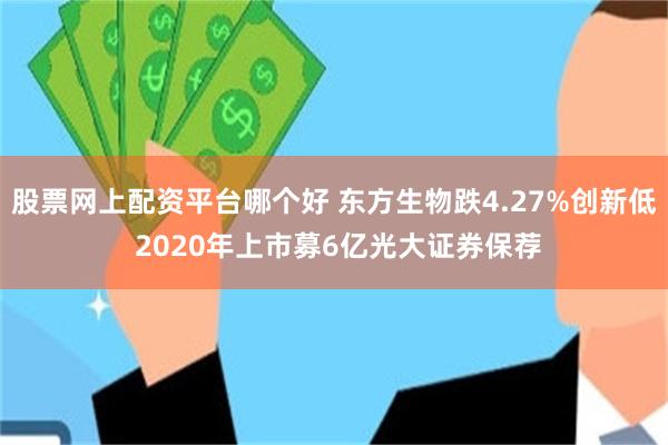 股票网上配资平台哪个好 东方生物跌4.27%创新低 2020年上市募6亿光大证券保荐