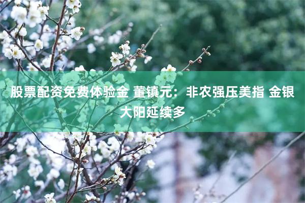 股票配资免费体验金 董镇元:非农强压美指 金银大阳延续多