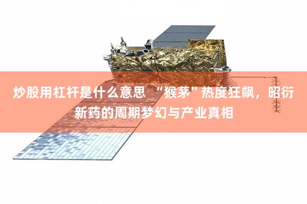 炒股用杠杆是什么意思 “猴茅”热度狂飙,昭衍新药的周期梦幻与产业真相