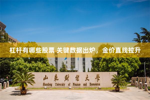 杠杆有哪些股票 关键数据出炉，金价直线拉升