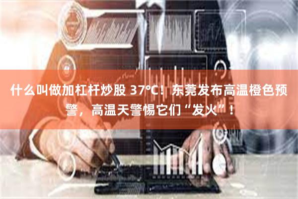 什么叫做加杠杆炒股 37℃！东莞发布高温橙色预警，高温天警惕它们“发火”！