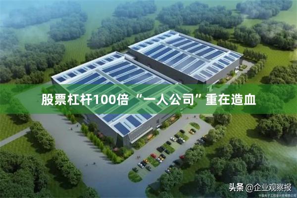 股票杠杆100倍 “一人公司”重在造血