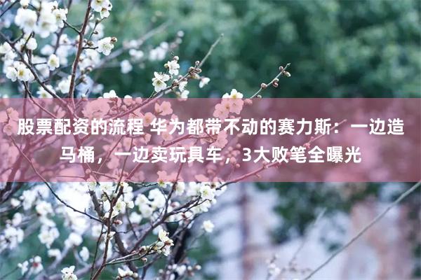股票配资的流程 华为都带不动的赛力斯：一边造马桶，一边卖玩具车，3大败笔全曝光