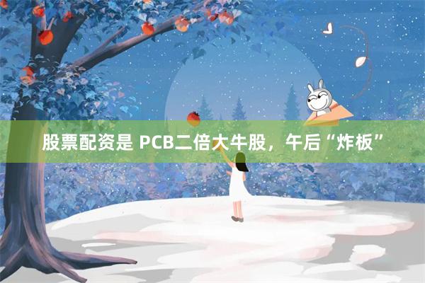 股票配资是 PCB二倍大牛股，午后“炸板”