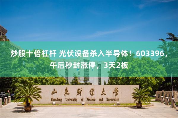 炒股十倍杠杆 光伏设备杀入半导体！603396，午后秒封涨停，3天2板