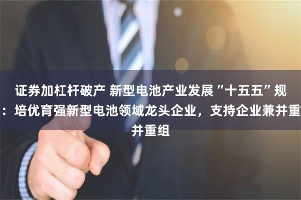 证券加杠杆破产 新型电池产业发展“十五五”规划:培优育强新型电池领域龙头企业,支持企业兼并重组