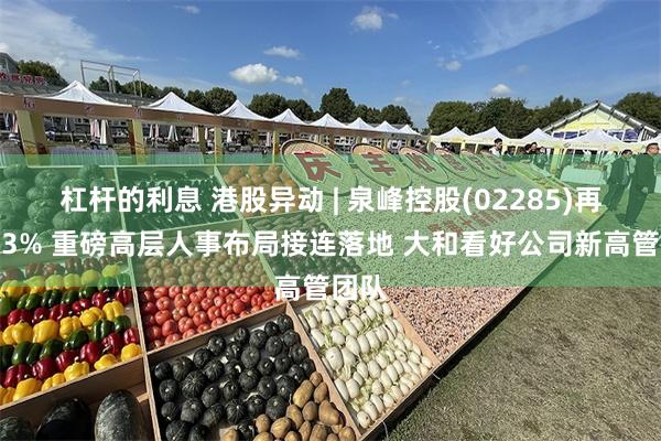 杠杆的利息 港股异动 | 泉峰控股(02285)再涨超3% 重磅高层人事布局接连落地 大和看好公司新高管团队