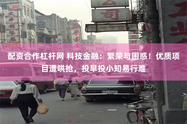 配资合作杠杆网 科技金融：繁荣与困惑！优质项目遭哄抢，投早投小知易行难
